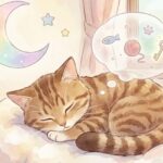 キジトラ猫の夢を見る意味